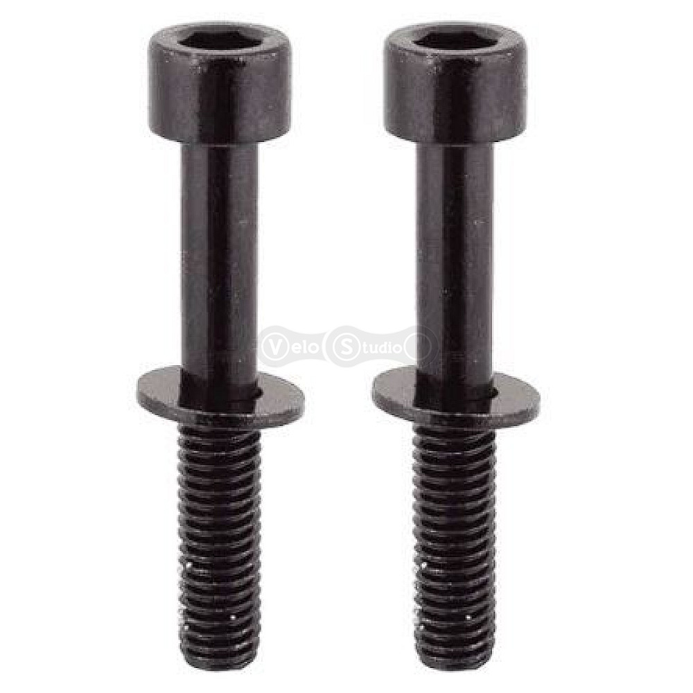 Болты крепления калипера Tektro Flat Mount Mounting Bolt 32 мм