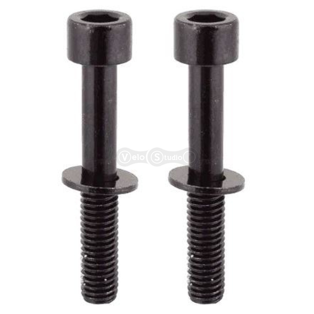 Болты крепления калипера Tektro Flat Mount Mounting Bolt 37 мм