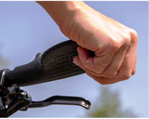 Грипсы Ergon GT1-S