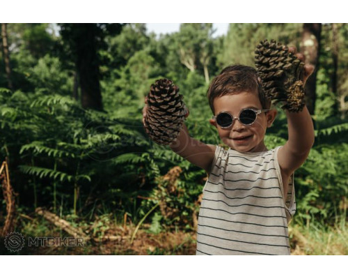 Детские очки JULBO WALK L Spectron 3 CF GRAY GREEN