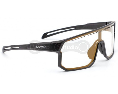Очки LYNX Bismarck PH B, matt Black1/Smoke with Gold Revo - Фотохромные (1-3 кат)