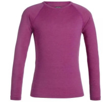 Детская термофутболка с длинным рукавом ICEBREAKER Kids 200 Oasis LS Crewe AMORE 08