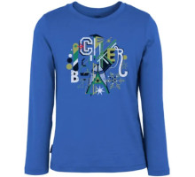 Детская термофутболка с длинным рукавом ICEBREAKER Kids LS Wilderness cadet/chatreuse 04