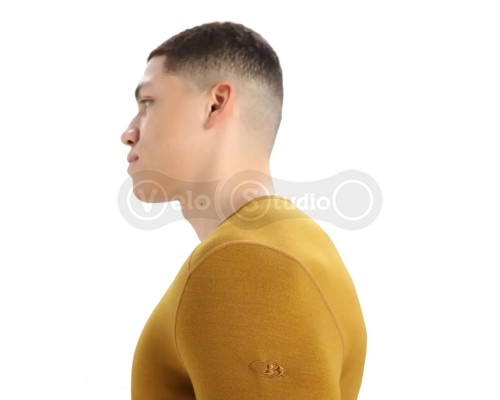 Термофутболка із довгим рукавом ICEBREAKER 260 Tech LS Crewe MEN CLOVE L