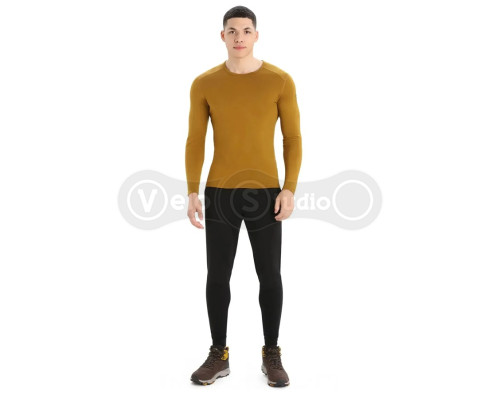 Термофутболка із довгим рукавом ICEBREAKER 260 Tech LS Crewe MEN CLOVE S