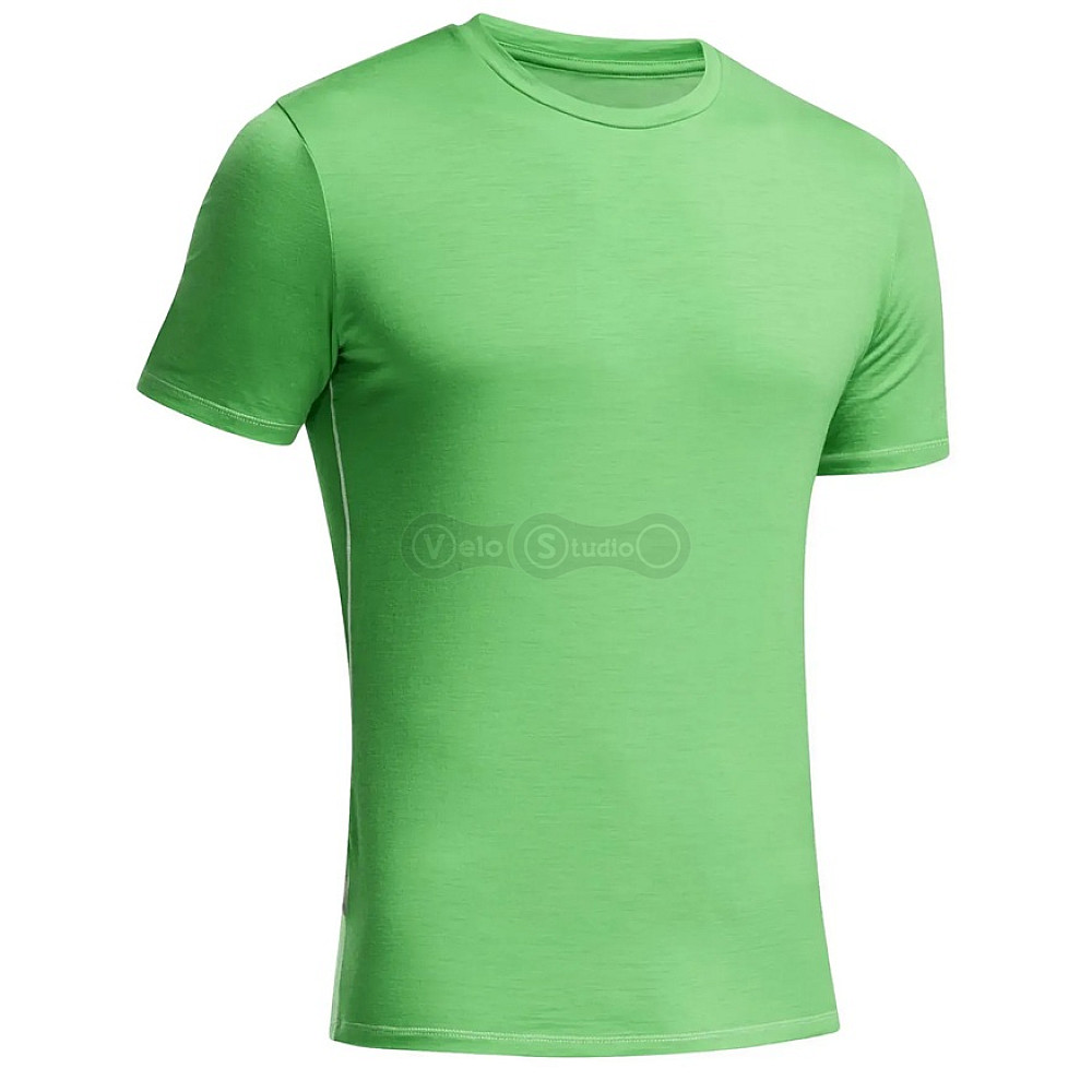 Термофутболка ICEBREAKER BF 150 Anatomica SS Crewe MEN balsam/white XL