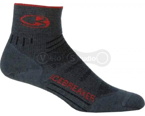 Носки ICEBREAKER Bike UL Mini MEN oil/salsa/oil S