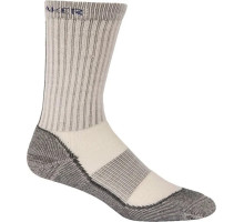 Шкарпетки ICEBREAKER Outdoor Lite Crew WMN silver/oil/horizon L