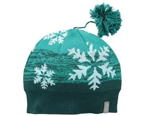 Шапка ICEBREAKER Chalet Hat hunter/mermaid