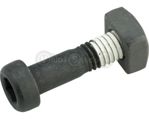Болт гальмівної ручки для гальма Sram Level, DB1 (A1)