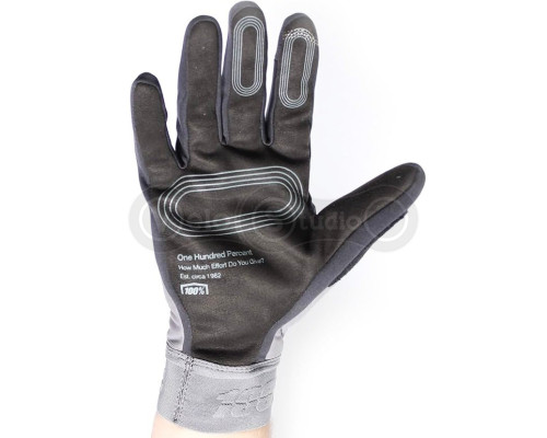 Зимние перчатки 100% BRISKER XTREME Glove [Charcoal], S (8)