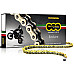 Ланцюг Regina ZSE Chain - 520 [Gold], 520-116L / Seal Ring