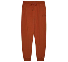 Спортивные штаны FOX WORDMARK Jogger Pant [Brown], Medium