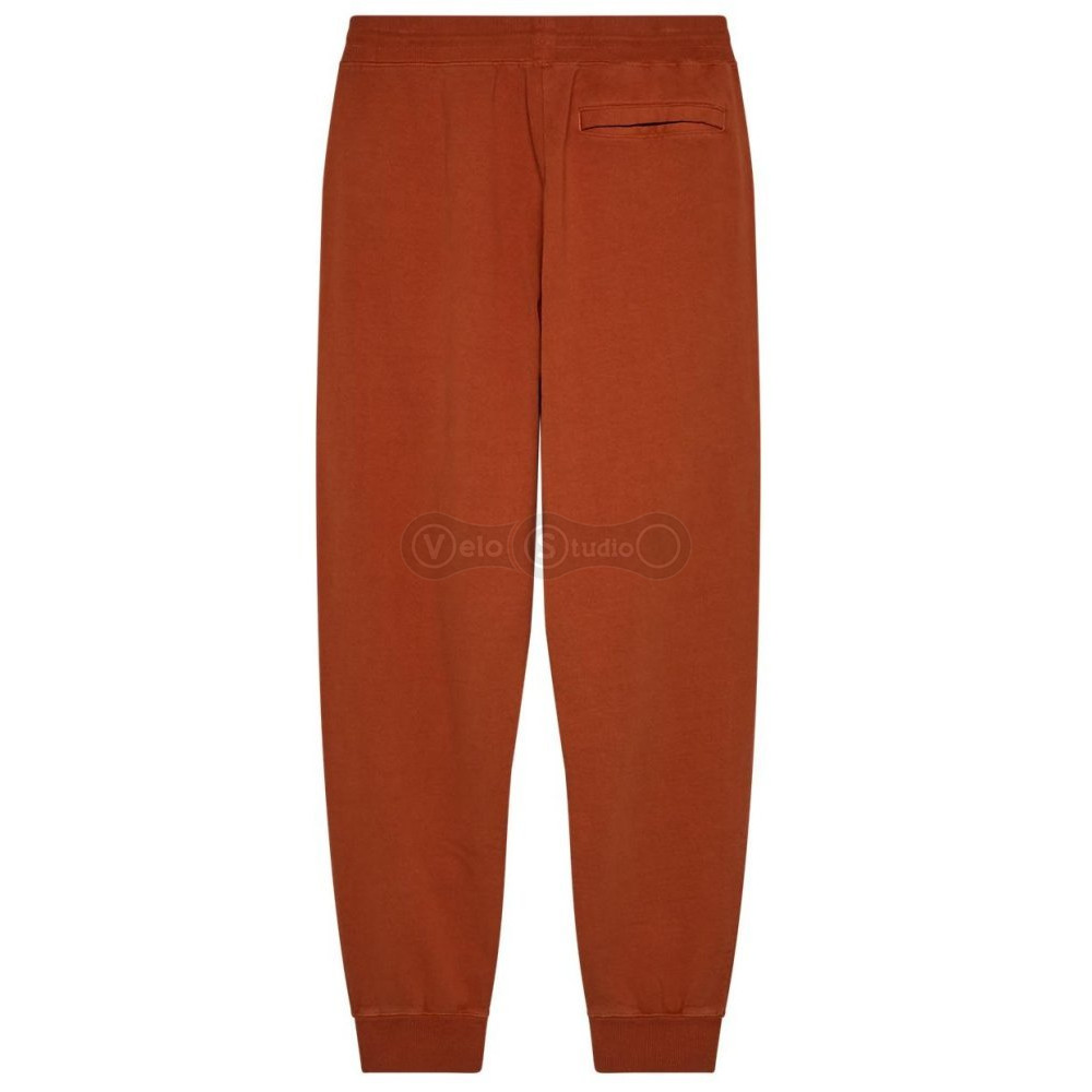 Спортивные штаны FOX WORDMARK Jogger Pant [Brown], Medium