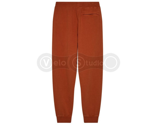 Спортивні штани FOX WORDMARK Jogger Pant [Brown], Medium