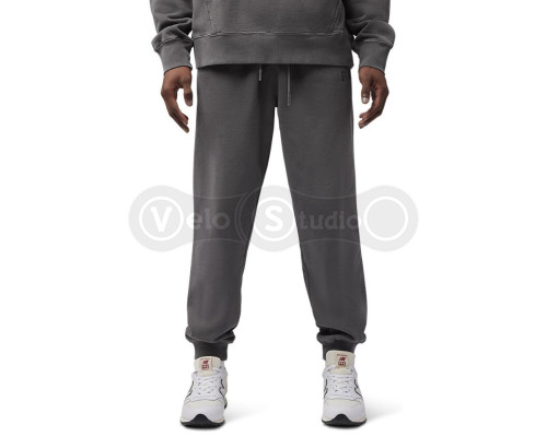 Спортивные штаны FOX WORDMARK Jogger Pant [Pewter], Medium