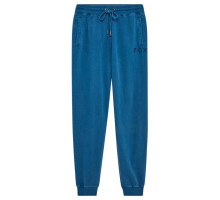 Спортивные штаны FOX WORDMARK Jogger Pant [Twilight], Medium