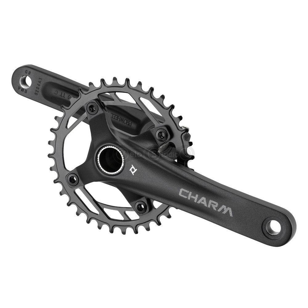 Шатуни PROWHEEL CHARM-FD04S-TT, (11S/10S/9S), 175mm, 34T black
