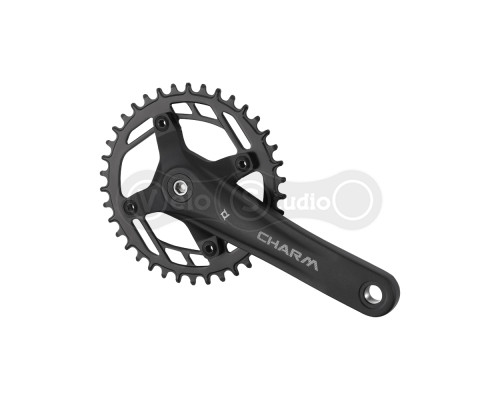 Шатуны PROWHEEL CHARM-FD04S (10S/9S) 175mm, 36T Black