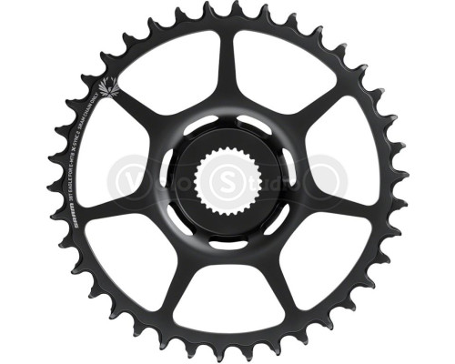 Звезда Sram X-SYNC 2 38T Bosch Direct Mount Black