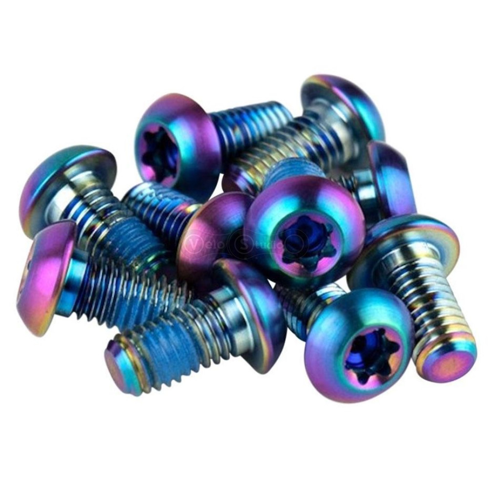 Болты SRAM Titanium T25 Rainbow Bolts для ротора (12 шт.)