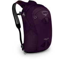 Рюкзак Osprey Daylite Travel Amulet Purple O/S фиолетовый