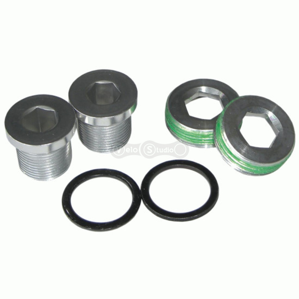 Болт шатунів Truvativ CRANK ARM BOLTS SELF-EXTR M15/M22 QTY2