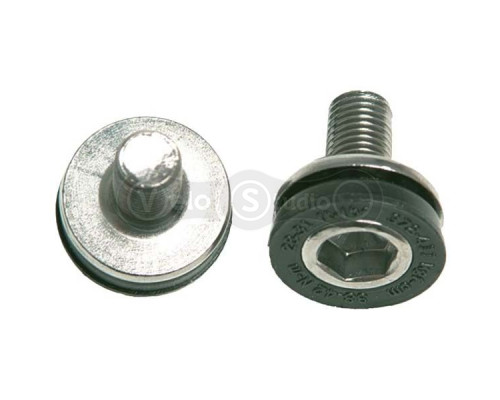 Болт шатунов Truvativ CRANKARM BOLTS M8 CAPLESS SQ&PS