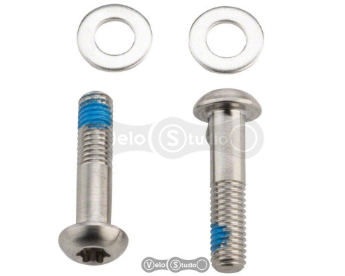 Болты SRAM Titanium Bolts 22mm for Flat Mount Disc Caliper Bracket