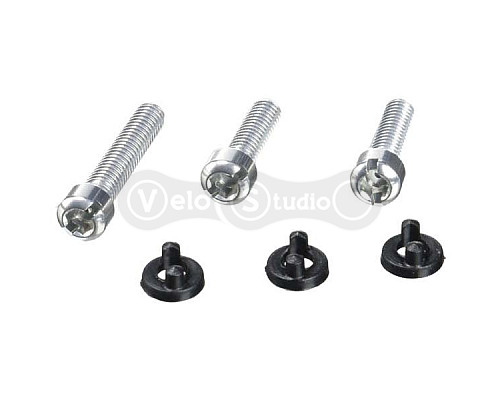 Сервісні запчастини Sram X0 DH 10SP RD SLV B-SCREW/LIMIT SCREW KIT