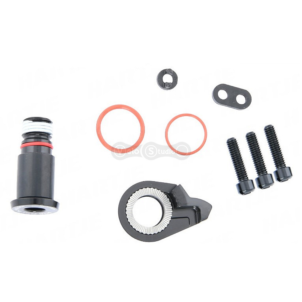 Сервісні запчастини Sram XX1/X01 Eagle RD B-BOLT&LMTSCRW KIT HEX5