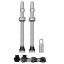 Бескамерный ниппель MUC-OFF Tubeless 80 мм Silver - 2 штуки