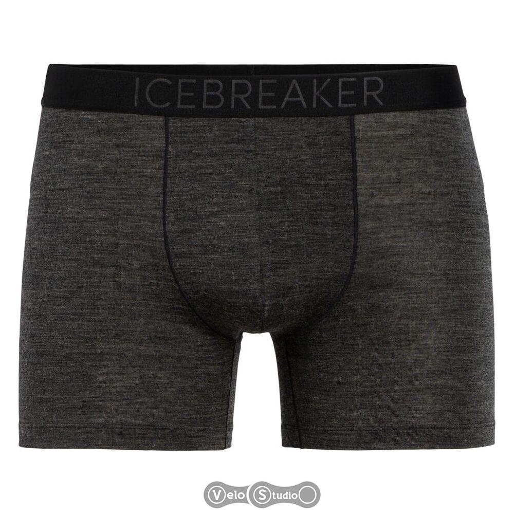 Труси Icebreaker Anatomica Cool-Lite Mens Black HTHR S