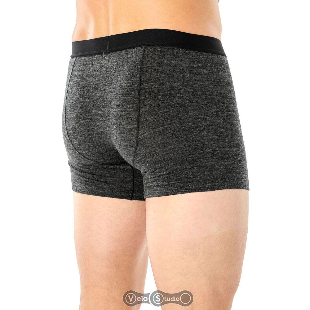 Труси Icebreaker Anatomica Cool-Lite Mens Black HTHR S