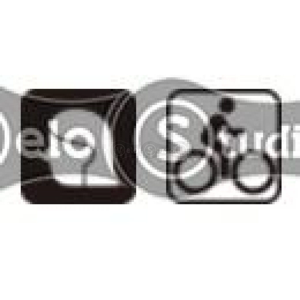 Шорты велосипедные Shimano Sayama черные женские, размер 24