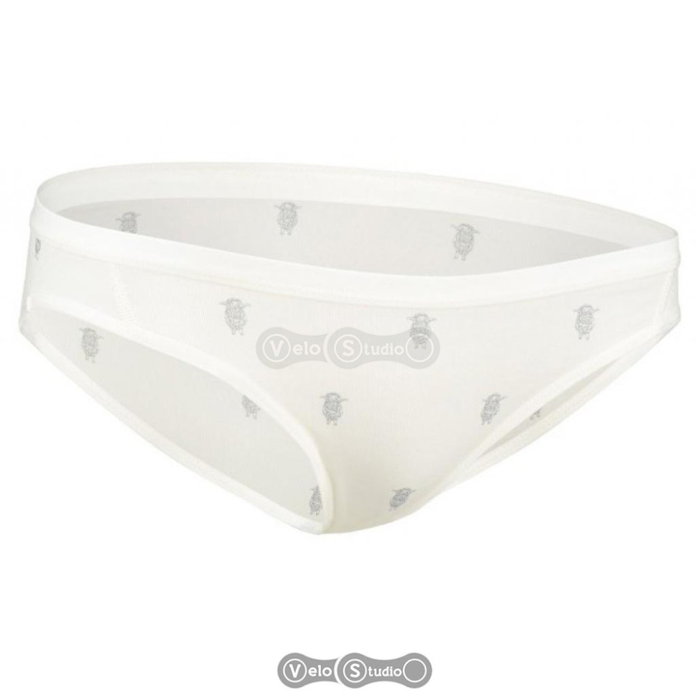 Термотрусы Icebreaker Siren Bikini WMN arena snow/black XS