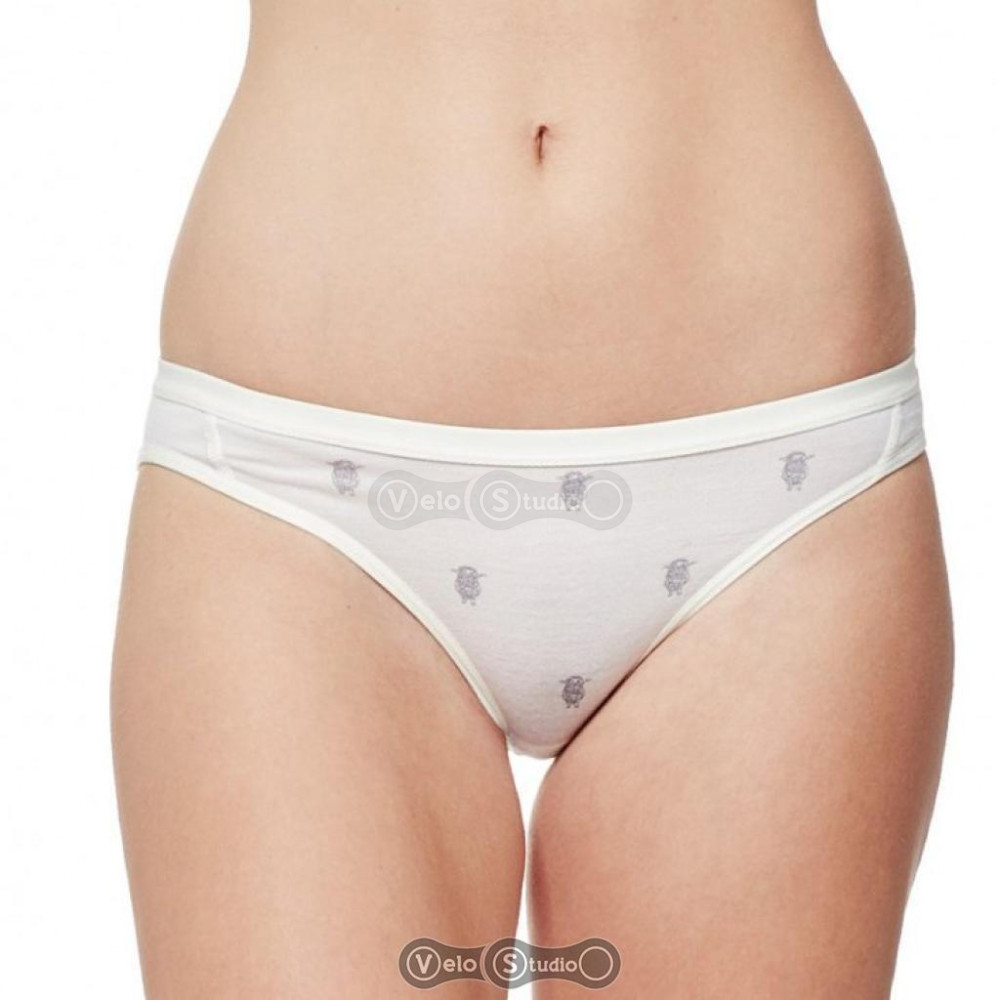 Термотрусы Icebreaker Siren Bikini WMN arena snow/black XS